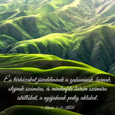 Picture 03 - 2 Krónika 32:28 KAR - És tárházakat jövedelmének a gabonának, - Bible Verse Picture