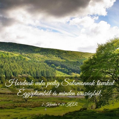 Picture 03 - 2 Krónika 9:28 KAR - Hordnak vala pedig Salamonnak lovakat - Bible Verse Picture