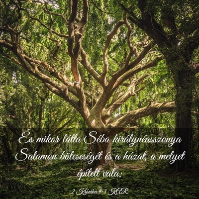 Picture 03 - 2 Krónika 9:3 KAR - És mikor látta Séba királynéasszonya Salamon - Bible Verse Picture