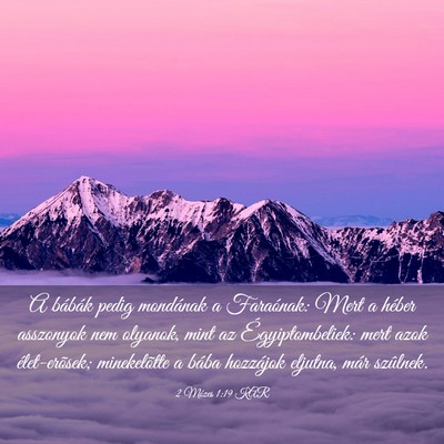 Picture 03 - 2 Mózes 1:19 KAR - A bábák pedig mondának a Faraónak: Mert a - Bible Verse Picture