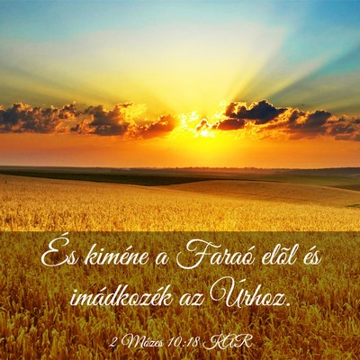 Picture 03 - 2 Mózes 10:18 KAR - És kiméne a Faraó elõl és imádkozék az - Bible Verse Picture