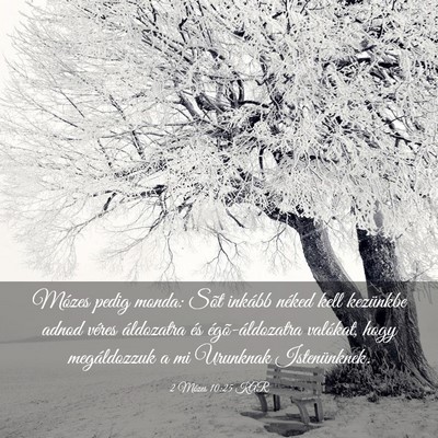 Picture 03 - 2 Mózes 10:25 KAR - Mózes pedig monda: Sõt inkább néked kell - Bible Verse Picture