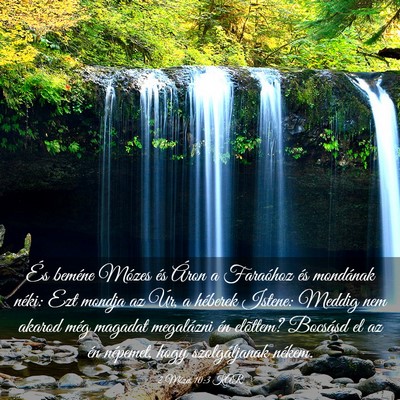 Picture 03 - 2 Mózes 10:3 KAR - És beméne Mózes és Áron a Faraóhoz és - Bible Verse Picture