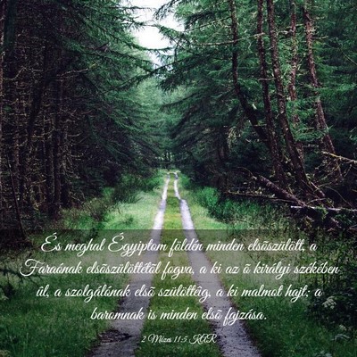 Picture 03 - 2 Mózes 11:5 KAR - És meghal Égyiptom földén minden - Bible Verse Picture
