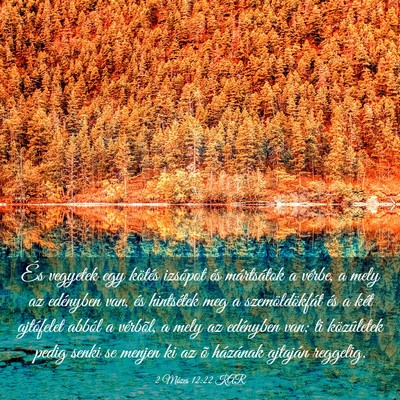 Picture 03 - 2 Mózes 12:22 KAR - És vegyetek egy kötés izsópot és mártsátok - Bible Verse Picture