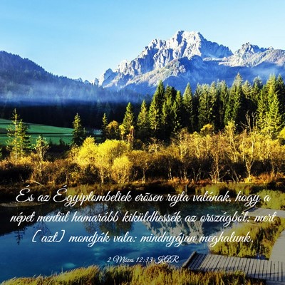 Picture 03 - 2 Mózes 12:33 KAR - És az Égyiptombeliek erõsen rajta valának, - Bible Verse Picture