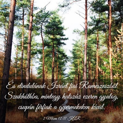 Picture 03 - 2 Mózes 12:37 KAR - És elindulának Izráel fiai Rameszeszbõl - Bible Verse Picture