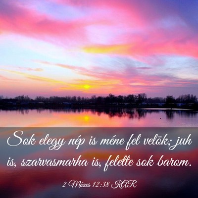 Picture 03 - 2 Mózes 12:38 KAR - Sok elegy nép is méne fel velök; juh is, - Bible Verse Picture