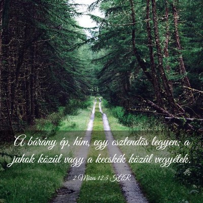 Picture 03 - 2 Mózes 12:5 KAR - A bárány ép, hím, egy esztendõs legyen; a - Bible Verse Picture