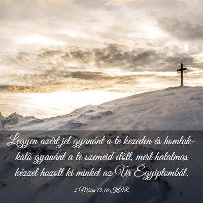 Picture 03 - 2 Mózes 13:16 KAR - Legyen azért jel gyanánt a te kezeden és - Bible Verse Picture