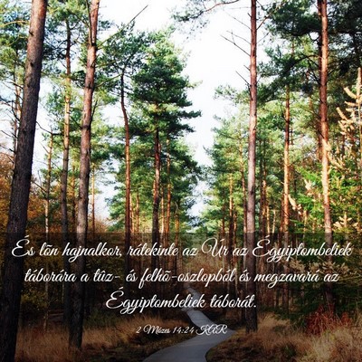 Picture 03 - 2 Mózes 14:24 KAR - És lõn hajnalkor, rátekinte az Úr az - Bible Verse Picture