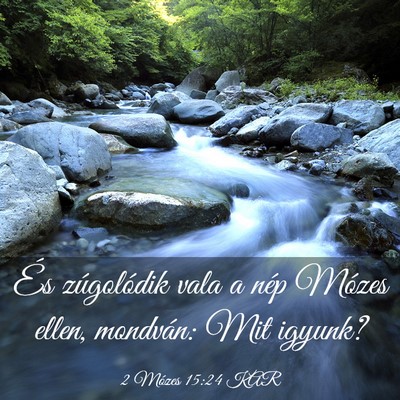Picture 03 - 2 Mózes 15:24 KAR - És zúgolódik vala a nép Mózes ellen, - Bible Verse Picture