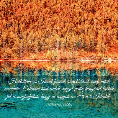 Picture 03 - 2 Mózes 16:12 KAR - Hallottam az Izráel fiainak zúgolódását, - Bible Verse Picture