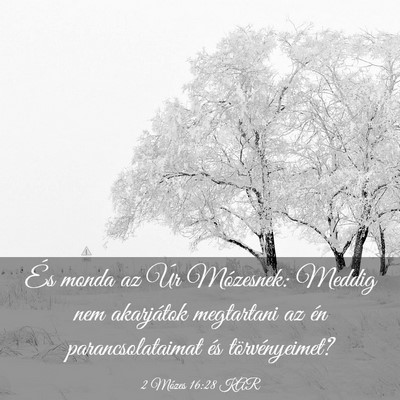 Picture 03 - 2 Mózes 16:28 KAR - És monda az Úr Mózesnek: Meddig nem akarjátok - Bible Verse Picture