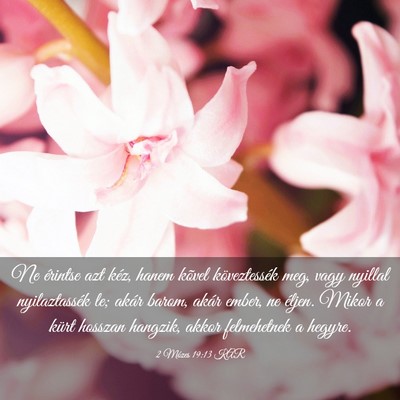 Picture 03 - 2 Mózes 19:13 KAR - Ne érintse azt kéz, hanem kõvel köveztessék - Bible Verse Picture