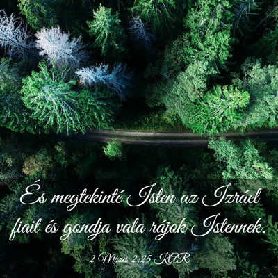 Picture 03 - 2 Mózes 2:25 KAR - És megtekinté Isten az Izráel fiait és gondja - Bible Verse Picture