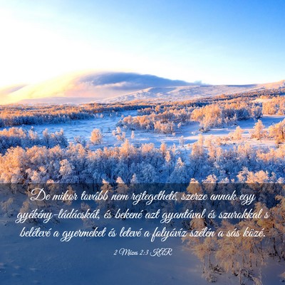 Picture 03 - 2 Mózes 2:3 KAR - De mikor tovább nem rejtegetheté, szerze annak - Bible Verse Picture