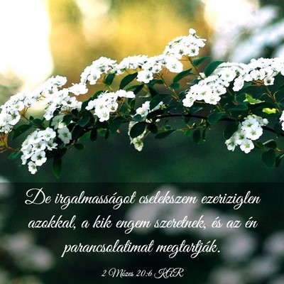 Picture 03 - 2 Mózes 20:6 KAR - De irgalmasságot cselekszem ezeriziglen azokkal, - Bible Verse Picture