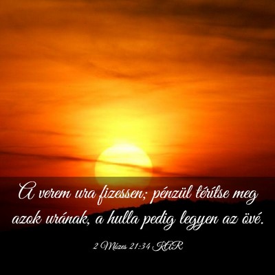 Picture 03 - 2 Mózes 21:34 KAR - A verem ura fizessen; pénzül térítse meg azok - Bible Verse Picture