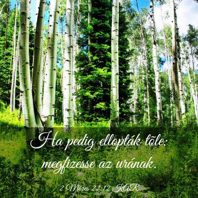 Picture 03 - 2 Mózes 22:12 KAR - Ha pedig ellopták tõle: megfizesse az - Bible Verse Picture