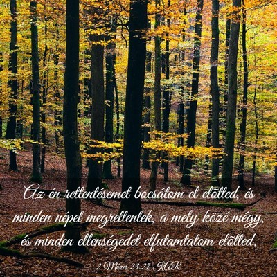 Picture 03 - 2 Mózes 23:27 KAR - Az én rettentésemet bocsátom el elõtted, és - Bible Verse Picture