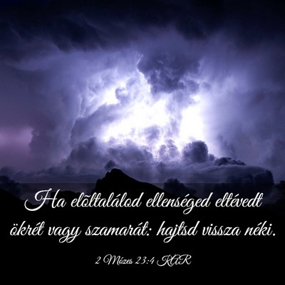 Picture 03 - 2 Mózes 23:4 KAR - Ha elõltalálod ellenséged eltévedt ökrét - Bible Verse Picture