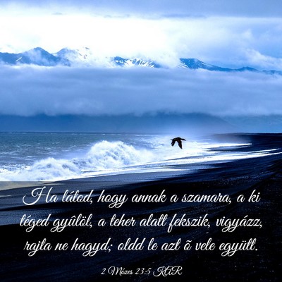 Picture 03 - 2 Mózes 23:5 KAR - Ha látod, hogy annak a szamara, a ki téged - Bible Verse Picture