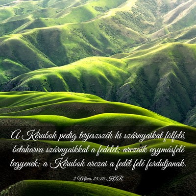 Picture 03 - 2 Mózes 25:20 KAR - A Kérubok pedig terjeszszék ki szárnyaikat - Bible Verse Picture