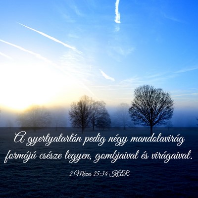 Picture 03 - 2 Mózes 25:34 KAR - A gyertyatartón pedig négy mandolavirág - Bible Verse Picture