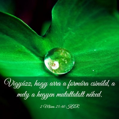 Picture 03 - 2 Mózes 25:40 KAR - Vigyázz, hogy arra a formára csináld, a mely a - Bible Verse Picture