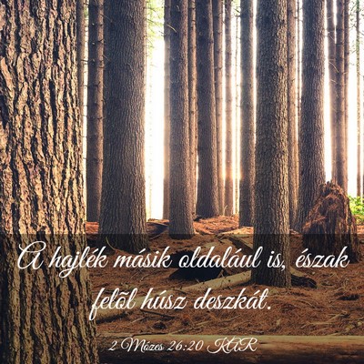Picture 03 - 2 Mózes 26:20 KAR - A hajlék másik oldalául is, észak felõl - Bible Verse Picture