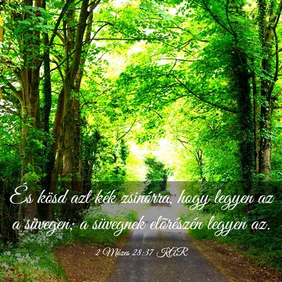 Picture 03 - 2 Mózes 28:37 KAR - És kösd azt kék zsinórra, hogy legyen az a - Bible Verse Picture