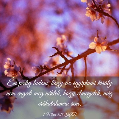 Picture 03 - 2 Mózes 3:19 KAR - Én pedig tudom, hogy az égyiptomi király nem - Bible Verse Picture