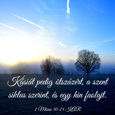 Picture 03 - 2 Mózes 30:24 KAR - Kásiát pedig ötszázért, a szent siklus - Bible Verse Picture