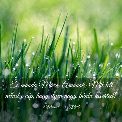 Picture 03 - 2 Mózes 32:21 KAR - És monda Mózes Áronnak: Mit tett néked e - Bible Verse Picture