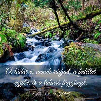 Picture 03 - 2 Mózes 35:12 KAR - A ládát és annak rúdjait, a fedéllel egybe, - Bible Verse Picture