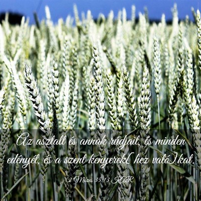 Picture 03 - 2 Mózes 35:13 KAR - Az asztalt és annak rúdjait, és minden - Bible Verse Picture