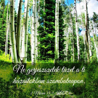Picture 03 - 2 Mózes 35:3 KAR - Ne gerjeszszetek tüzet a ti házaitokban - Bible Verse Picture