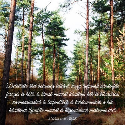 Picture 03 - 2 Mózes 35:35 KAR - Betöltötte õket bölcseség lelkével, hogy - Bible Verse Picture