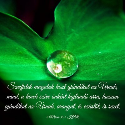 Picture 03 - 2 Mózes 35:5 KAR - Szedjetek magatok közt ajándékot az Úrnak, - Bible Verse Picture