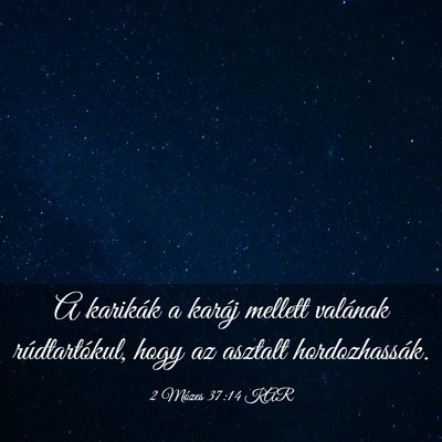 Picture 03 - 2 Mózes 37:14 KAR - A karikák a karáj mellett valának - Bible Verse Picture