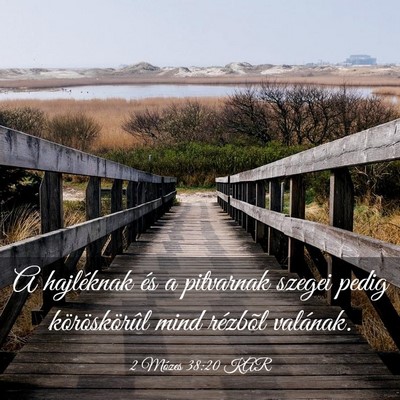 Picture 03 - 2 Mózes 38:20 KAR - A hajléknak és a pitvarnak szegei pedig - Bible Verse Picture