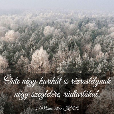Picture 03 - 2 Mózes 38:5 KAR - Önte négy karikát is rézrostélynak négy - Bible Verse Picture