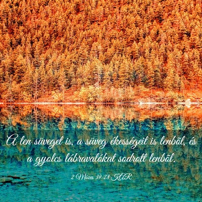 Picture 03 - 2 Mózes 39:28 KAR - A len süveget is, a süveg ékességeit is - Bible Verse Picture