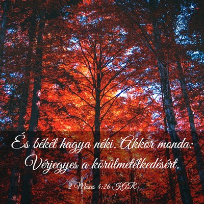 Picture 03 - 2 Mózes 4:26 KAR - És békét hagya néki. Akkor monda: Vérjegyes - Bible Verse Picture