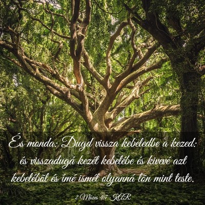 Picture 03 - 2 Mózes 4:7 KAR - És monda: Dugd vissza kebeledbe a kezed: és - Bible Verse Picture