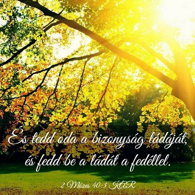 Picture 03 - 2 Mózes 40:3 KAR - És tedd oda a bizonyság ládáját, és fedd be - Bible Verse Picture