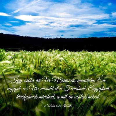 Picture 03 - 2 Mózes 6:29 KAR - Így szóla az Úr Mózesnek, mondván: Én - Bible Verse Picture