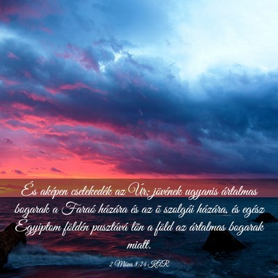 Picture 03 - 2 Mózes 8:24 KAR - És aképen cselekedék az Úr; jövének ugyanis - Bible Verse Picture