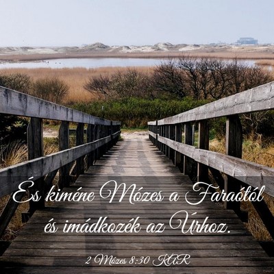 Picture 03 - 2 Mózes 8:30 KAR - És kiméne Mózes a Faraótól és imádkozék - Bible Verse Picture